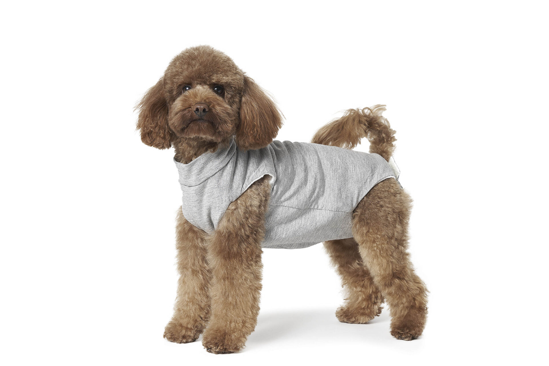 Body Cura Pets foderato in tessuto ipoallegenico ed ecologico - pancia coperta <br> Art. 800