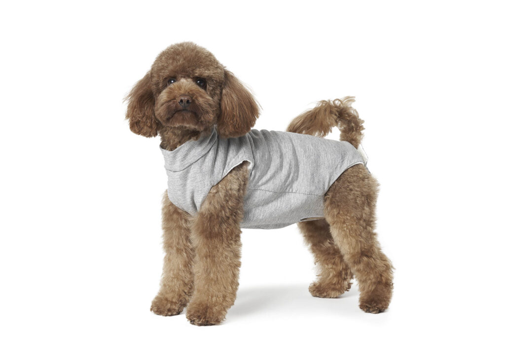 Fashion Dog - Body Cura Pets foderato in tessuto ipoallergenico ed ecologico - pancia scoperta <br> Art. 801 - body post-operatorio per cani