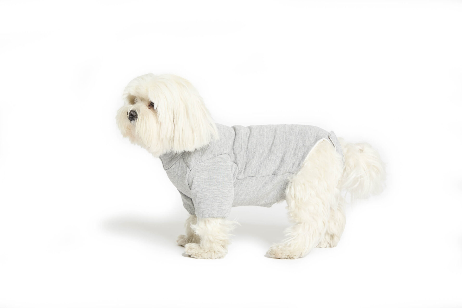 Body Cura Pets foderato in tessuto ipoallergenico ed ecologico con protezione zampe anteriori - pancia coperta <br> Art. 802