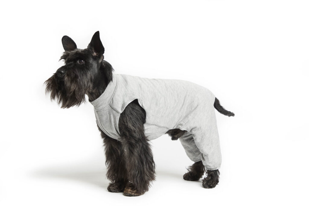 Body Cura Pets foderato in tessuto ipoallergenico ed ecologico con protezione zampe posteriori <br> Art. 803 - body post-operatorio per cani